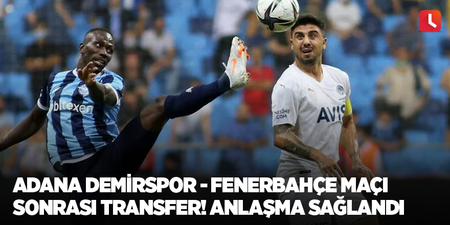 Adana Demirspor - Fenerbahçe maçı sonrası transfer! Anlaşma sağlandı