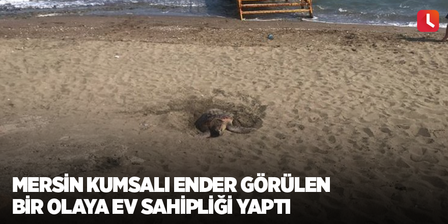 Mersin kumsalı ender görülen bir olaya ev sahipliği yaptı