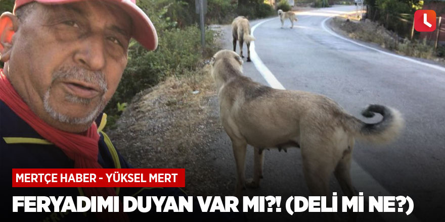 Feryadımı duyan var mı?!  (Deli mi ne?)