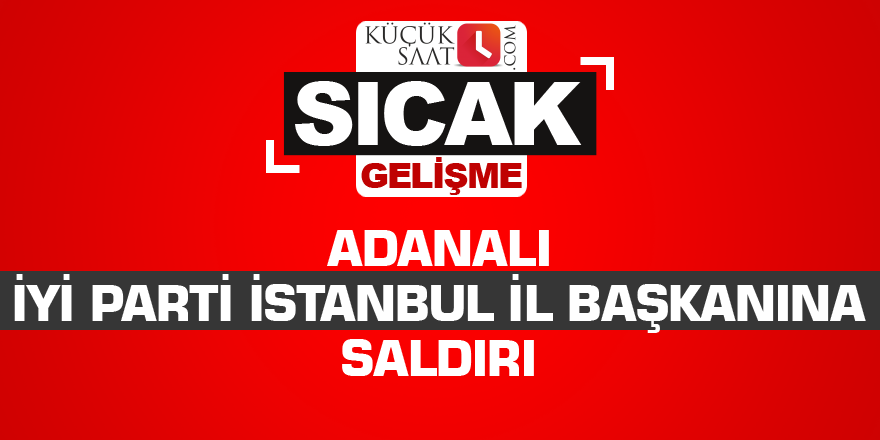 Adanalı İYİ Parti İstanbul İl Başkanına saldırı