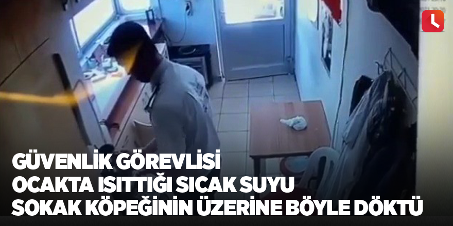 Güvenlik görevlisi ocakta ısıttığı sıcak suyu sokak köpeğinin üzerine böyle döktü