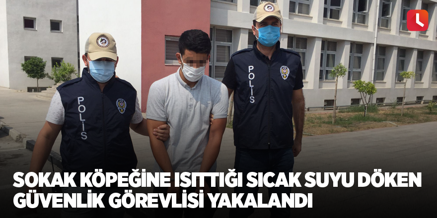 Sokak köpeğine ısıttığı sıcak suyu döken güvenlik görevlisi yakalandı