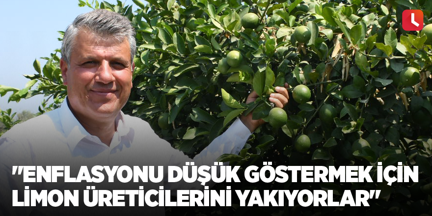 "Enflasyonu düşük göstermek için limon üreticilerini yakıyorlar"