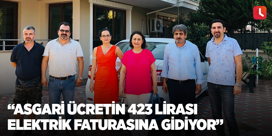 “Asgari ücretin 423 lirası elektrik faturasına gidiyor”