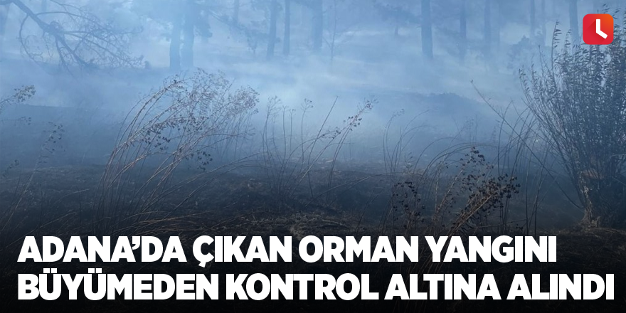 Adana’da çıkan orman yangını büyümeden kontrol altına alındı