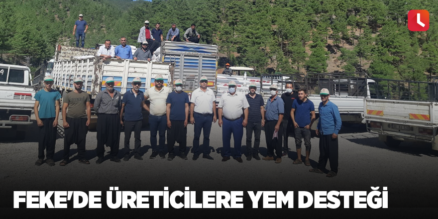 Feke'de üreticilere yem desteği