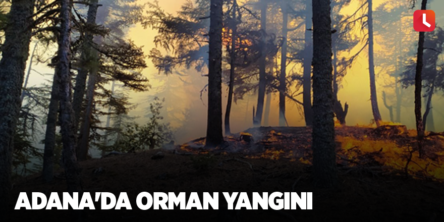 Adana'da orman yangını