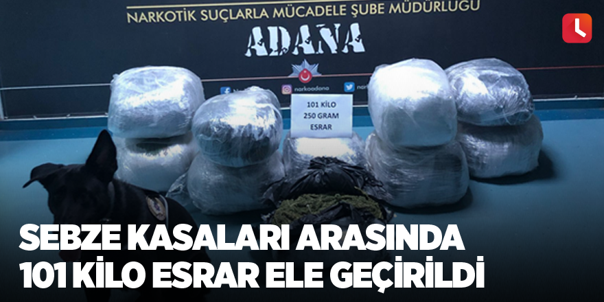 Sebze kasaları arasında 101 kilo esrar ele geçirildi