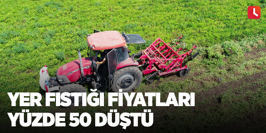 Yer fıstığı fiyatları yüzde 50 düştü