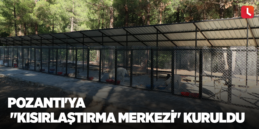 Pozantı'ya "Kısırlaştırma Merkezi" kuruldu