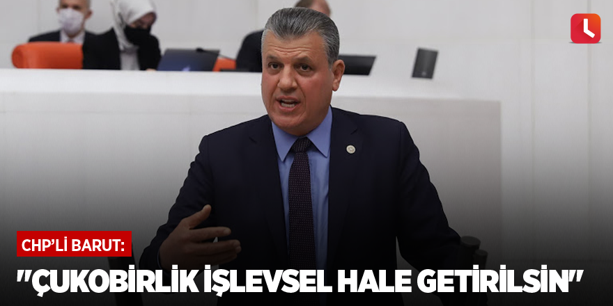 "Çukobirlik işlevsel hale getirilsin"