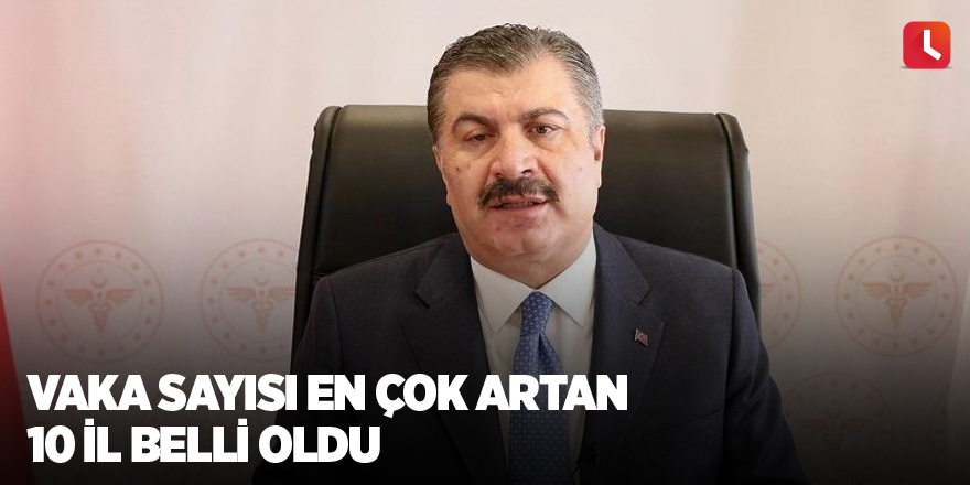 Vaka sayısı en çok artan 10 il belli oldu