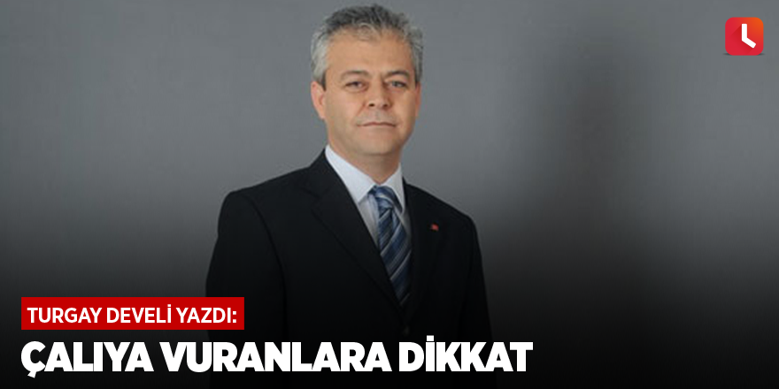 Çalıya Vuranlara Dikkat