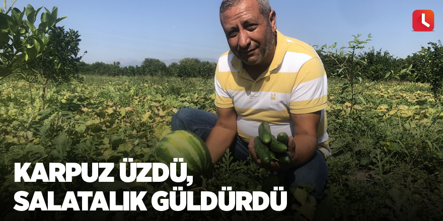 Karpuz üzdü, salatalık güldürdü