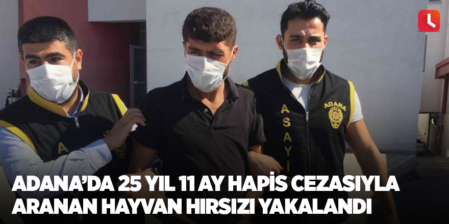 Adana’da 25 yıl 11 ay hapis cezasıyla aranan hayvan hırsızı yakalandı