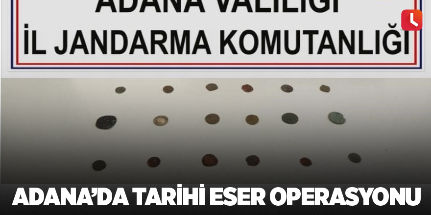 Adana'da tarihi eser operasyonu