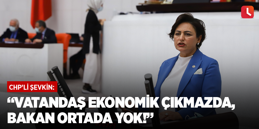 “Vatandaş ekonomik çıkmazda, bakan ortada yok!”