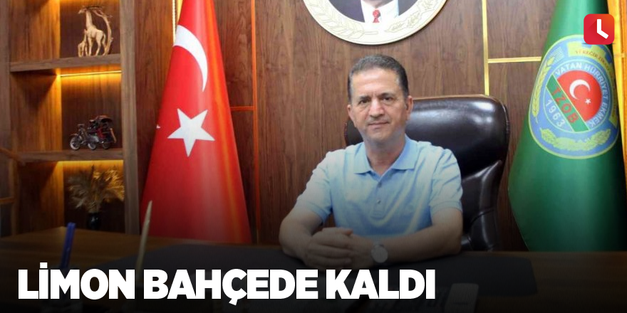 Limon bahçede kaldı