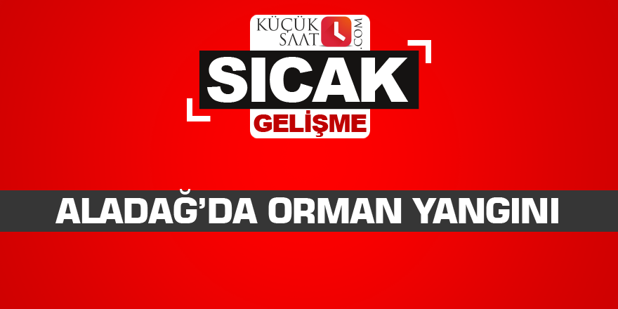 Aladağ’da orman yangını