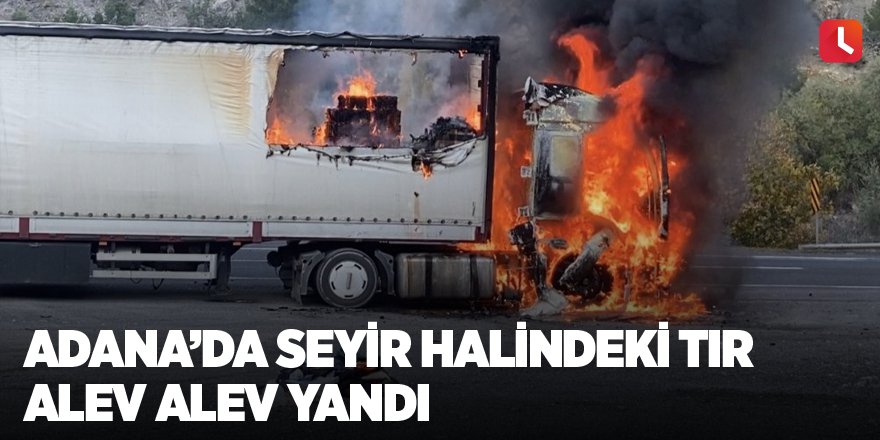 Adana’da seyir halindeki tır alev alev yandı