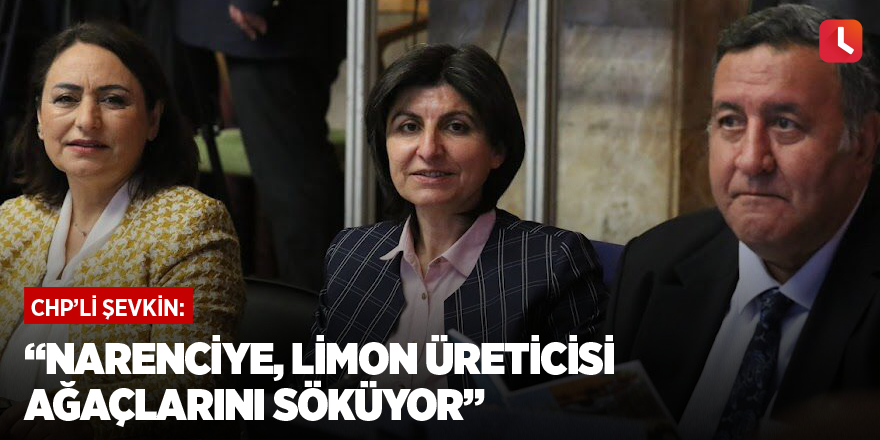 “Narenciye, limon üreticisi ağaçlarını söküyor”