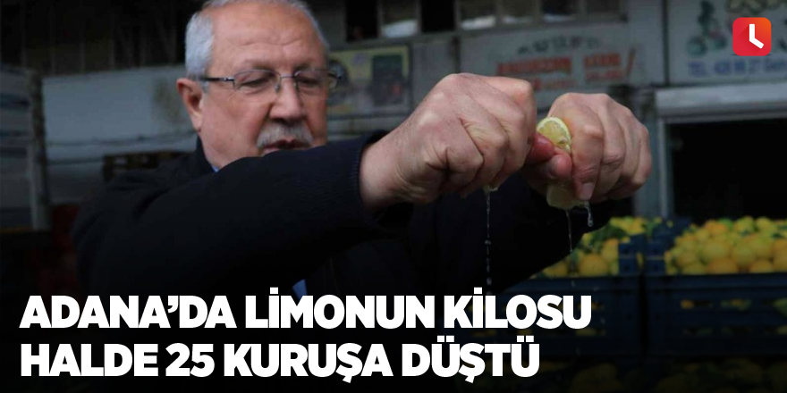 Adana’da limonun kilosu halde 25 kuruşa düştü