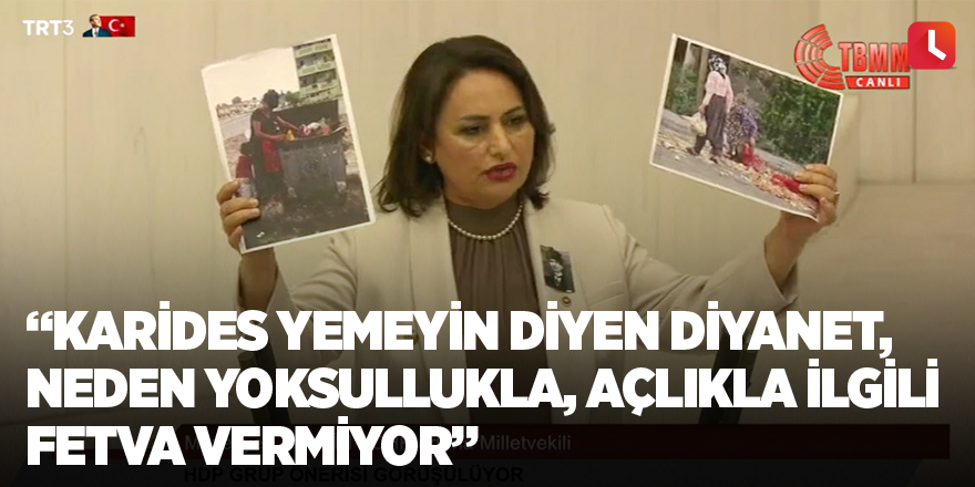 “Karides yemeyin diyen Diyanet, neden yoksullukla, açlıkla ilgili fetva vermiyor”