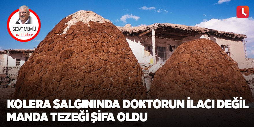 Kolera Salgınında Doktorun İlacı Değil Manda Tezeği Şifa Oldu