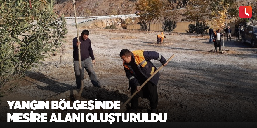 Yangın bölgesinde mesire alanı oluşturuldu