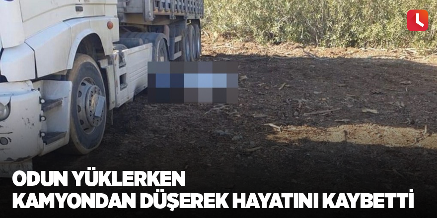 Odun yüklerken kamyondan düşerek hayatını kaybetti