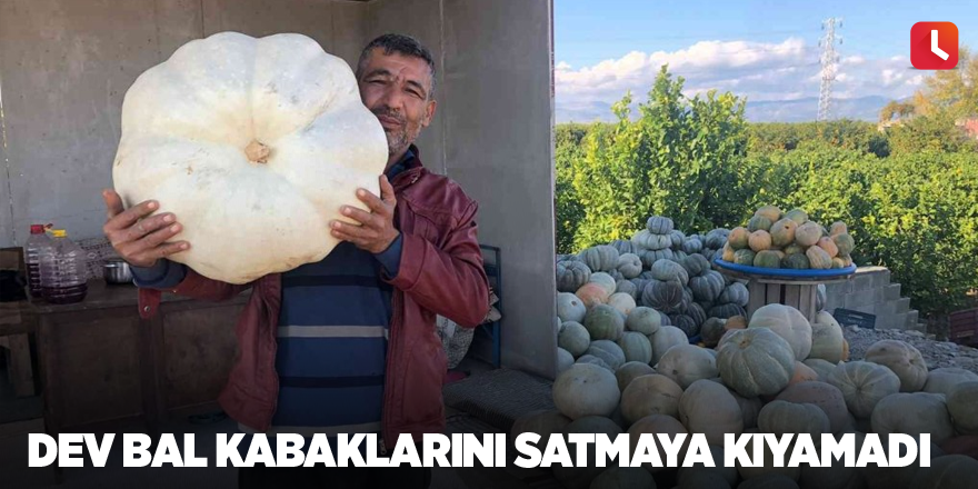 Dev bal kabaklarını satmaya kıyamadı