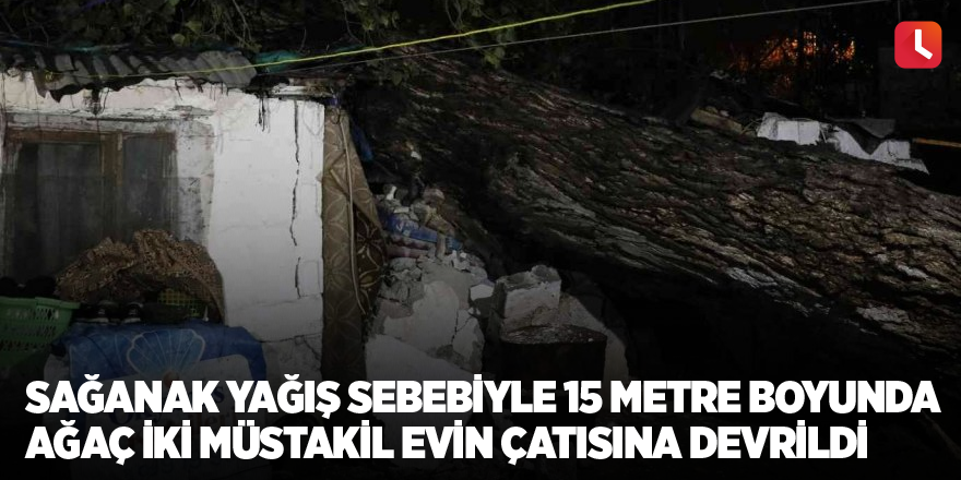 Sağanak yağış sebebiyle 15 metre boyunda ağaç iki müstakil evin çatısına devrildi