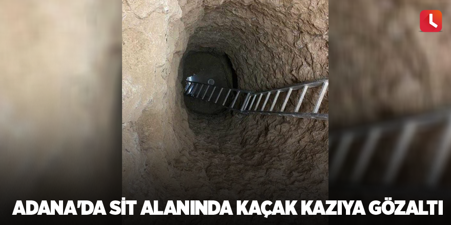 Adana'da sit alanında kaçak kazıya gözaltı