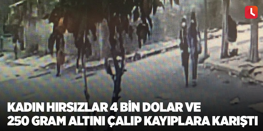 Kadın hırsızlar 4 bin dolar ve 250 gram altını çalıp kayıplara karıştı