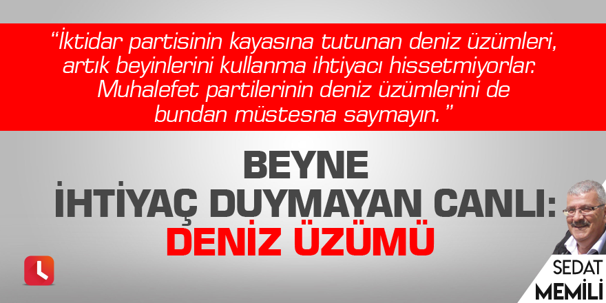 Beyne İhtiyaç Duymayan Canlı: Deniz Üzümü