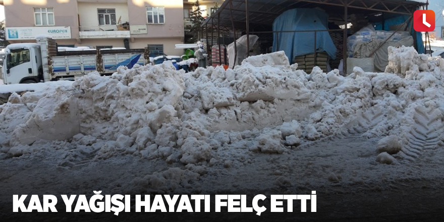 Kar yağışı hayatı felç etti