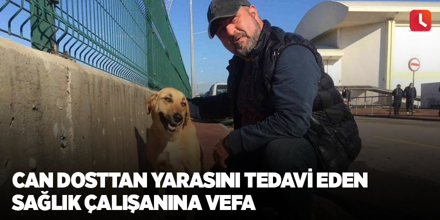 Can dosttan yarasını tedavi eden sağlık çalışanına vefa