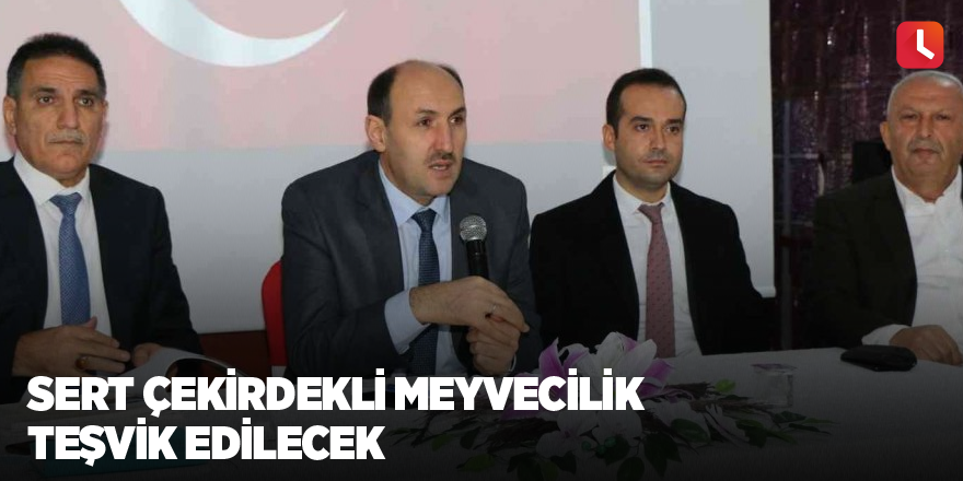 Sert çekirdekli meyvecilik teşvik edilecek