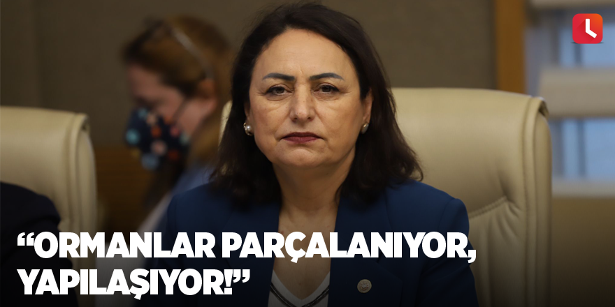 “Ormanlar parçalanıyor, yapılaşıyor!”