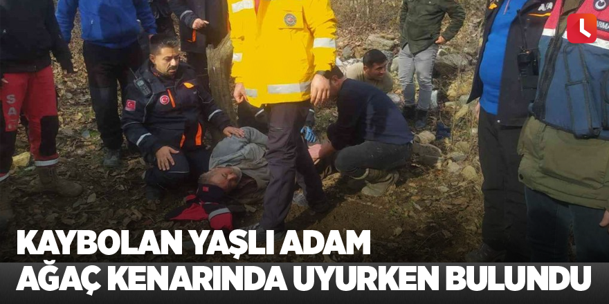 Kaybolan yaşlı adam ağaç kenarında uyurken bulundu