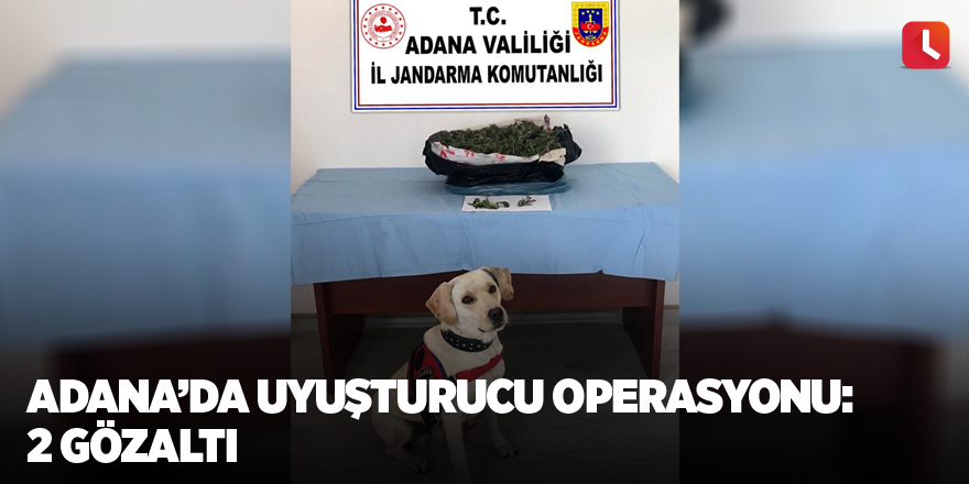 Adana’da uyuşturucu operasyonu: 2 gözaltı