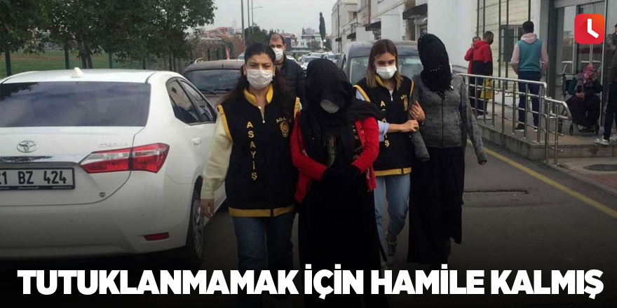 Tutuklanmamak için hamile kalmış