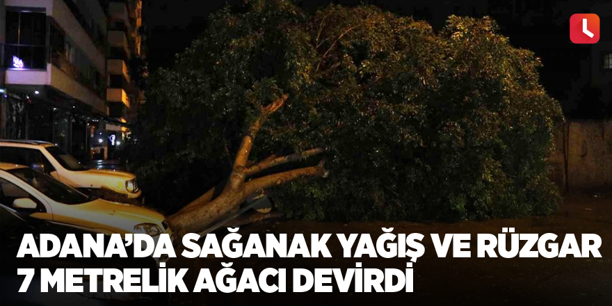 Adana’da sağanak yağış ve rüzgar 7 metrelik ağacı devirdi