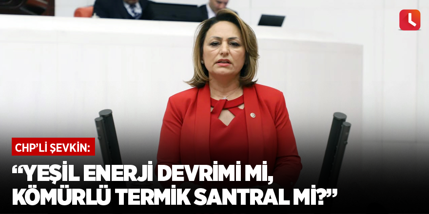 “Yeşil enerji devrimi mi, kömürlü termik santral mi?”