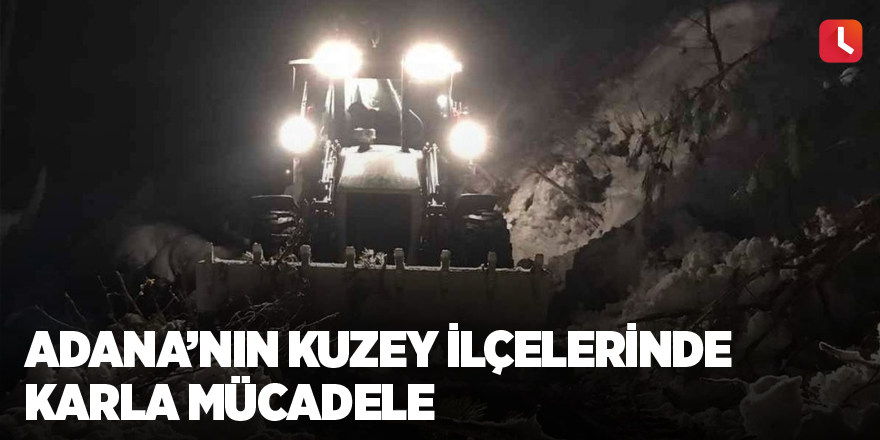 Adana’nın kuzey ilçelerinde karla mücadele