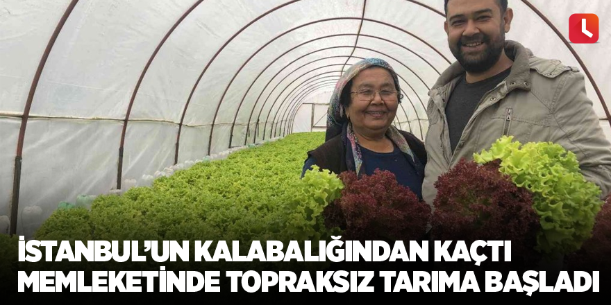 İstanbul’un kalabalığından kaçtı memleketinde topraksız tarıma başladı