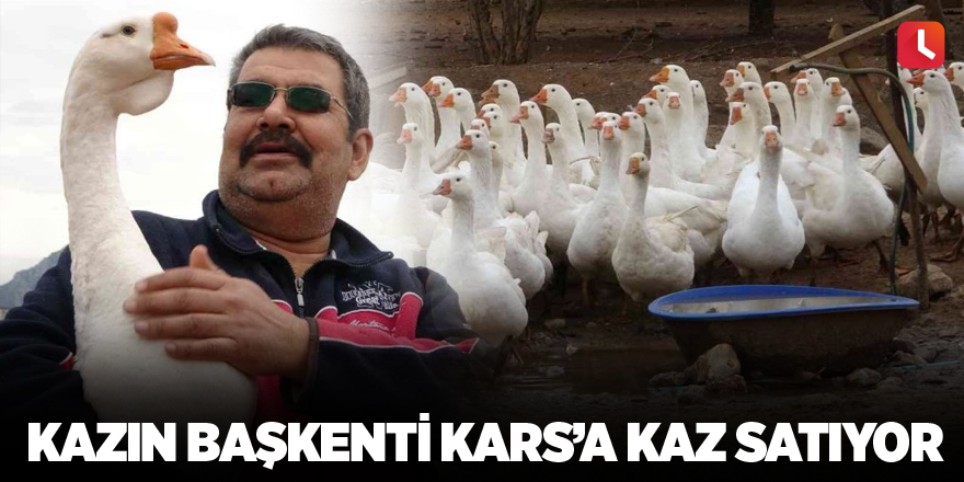 Kazın başkenti Kars’a kaz satıyor