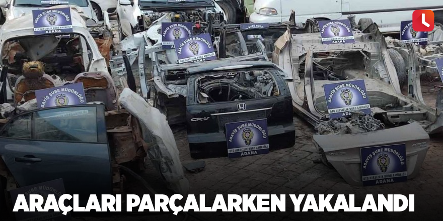 Araçları parçalarken yakalandı