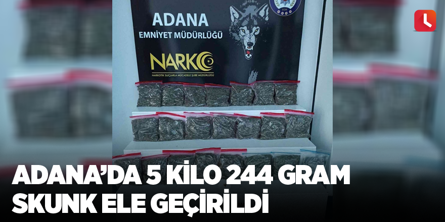 Adana’da 5 kilo 244 gram skunk ele geçirildi