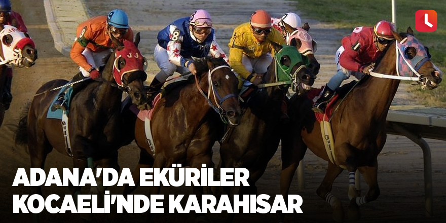 Adana'da eküriler Kocaeli'nde Karahisar